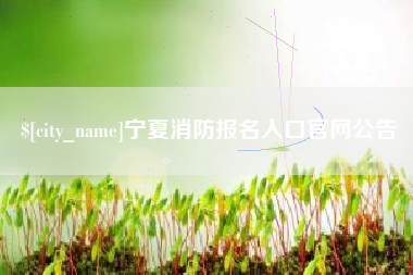 宣汉宁夏消防报名入口官网公告