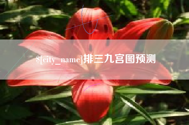 宣汉排三九宫图预测