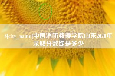 宣汉中国消防救援学院山东2020年录取分数线是多少