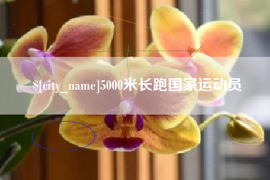 宣汉5000米长跑国家运动员