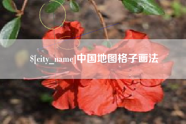 宣汉中国地图格子画法