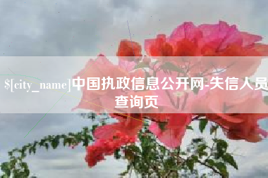 宣汉中国执政信息公开网-失信人员查询页