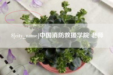 宣汉中国消防救援学院 老师