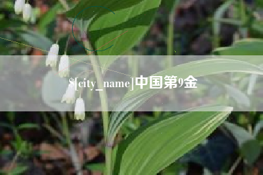 宣汉中国第9金