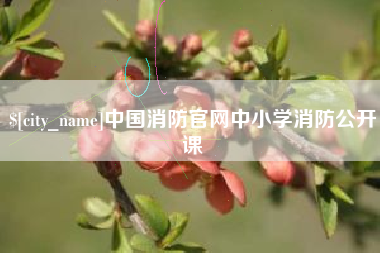 宣汉中国消防官网中小学消防公开课