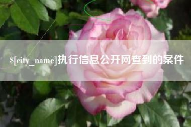 宣汉执行信息公开网查到的案件