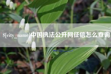 宣汉中国执法公开网征信怎么查询