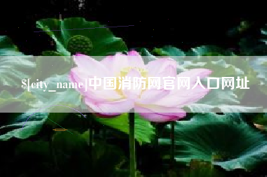 宣汉中国消防网官网入口网址