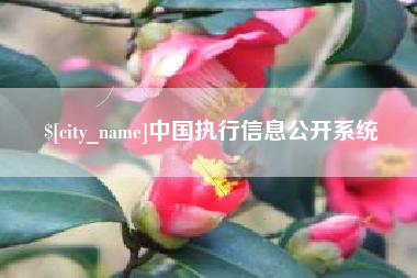 宣汉中国执行信息公开系统