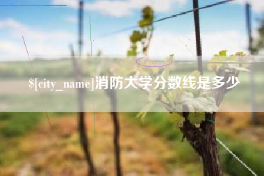 宣汉消防大学分数线是多少
