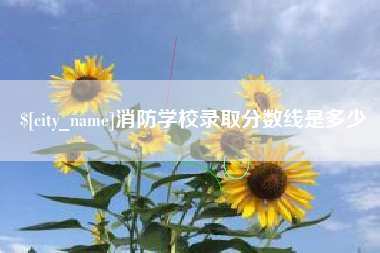宣汉消防学校录取分数线是多少