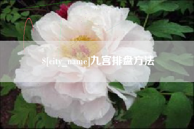 宣汉九宫排盘方法