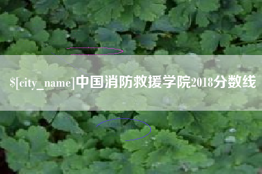 宣汉中国消防救援学院2018分数线