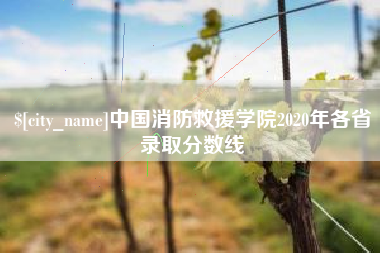 宣汉中国消防救援学院2020年各省录取分数线