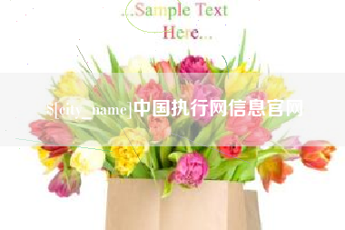 宣汉中国执行网信息官网