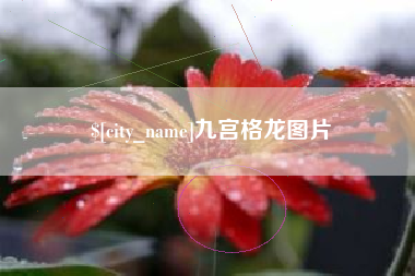 宣汉九宫格龙图片
