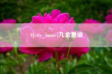 宣汉九金是谁