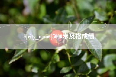 宣汉5000米及格成绩