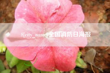 宣汉全国消防日海报