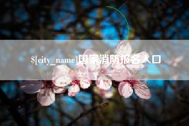 宣汉国家消防报名入口