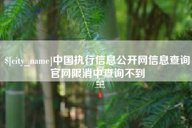 宣汉中国执行信息公开网信息查询官网限消中查询不到