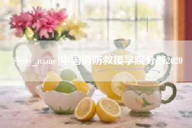 宣汉中国消防救援学院分数2020