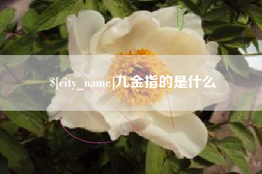 宣汉九金指的是什么