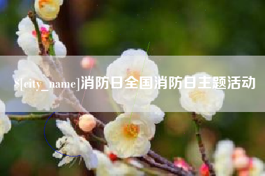 宣汉消防日全国消防日主题活动