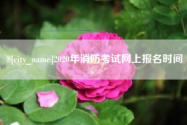 宣汉2020年消防考试网上报名时间