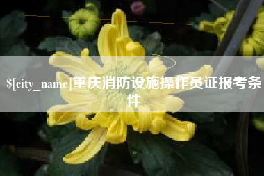 宣汉重庆消防设施操作员证报考条件
