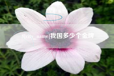 宣汉我国多少个金牌