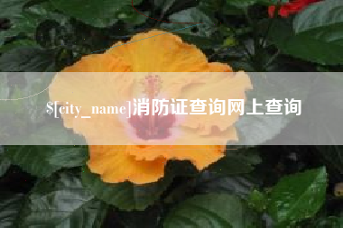 宣汉消防证查询网上查询