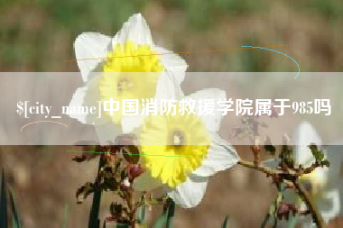 宣汉中国消防救援学院属于985吗