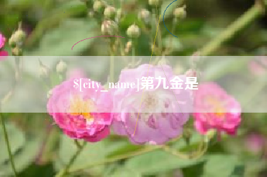 宣汉第九金是