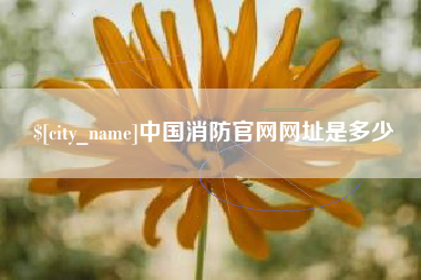 宣汉中国消防官网网址是多少