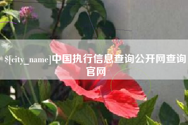 宣汉中国执行信息查询公开网查询官网