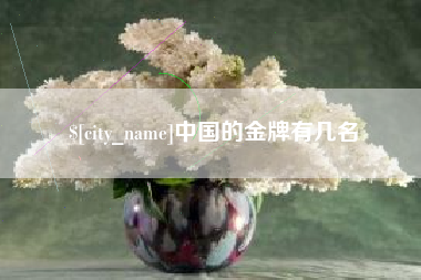 宣汉中国的金牌有几名