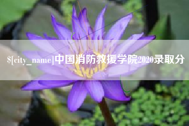 宣汉中国消防救援学院2020录取分