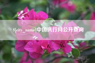 宣汉中国执行网公开查询