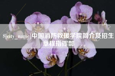宣汉中国消防救援学院简介及招生章程指挥部