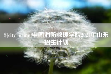 宣汉中国消防救援学院2021年山东招生计划