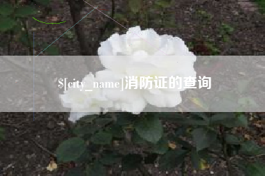 宣汉消防证的查询
