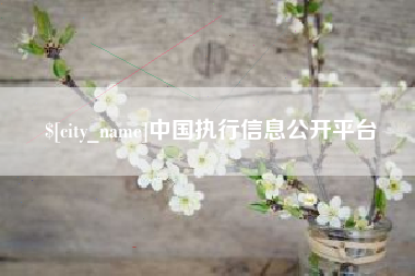 宣汉中国执行信息公开平台