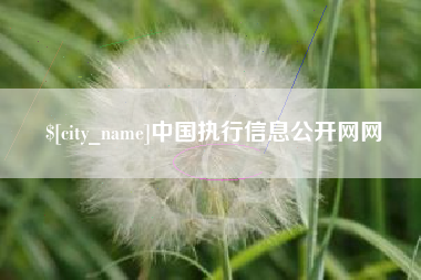 宣汉中国执行信息公开网网