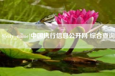 宣汉中国执行信息公开网 综合查询