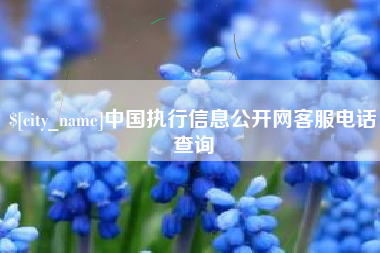 宣汉中国执行信息公开网客服电话查询