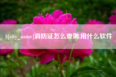 宣汉消防证怎么查询,用什么软件