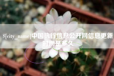 宣汉中国执行信息公开网信息更新时间是多久
