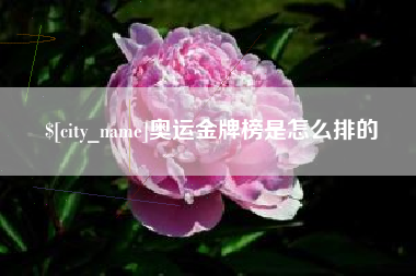 宣汉奥运金牌榜是怎么排的