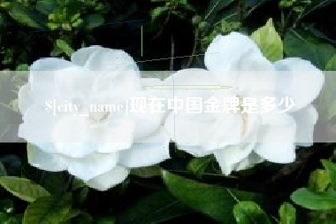 宣汉现在中国金牌是多少